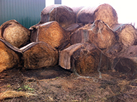 Old bales