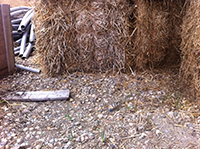 Bales on rocks