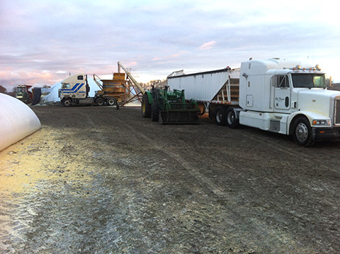 Hopper trailers being used as surge bins